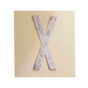 Anthropologie X Terrain Iron Letter NWT